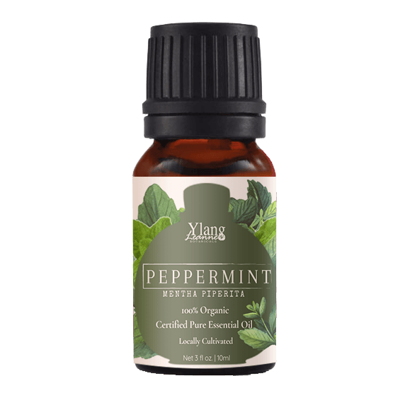 Peppermint (Cert Pure & Tested Organic)